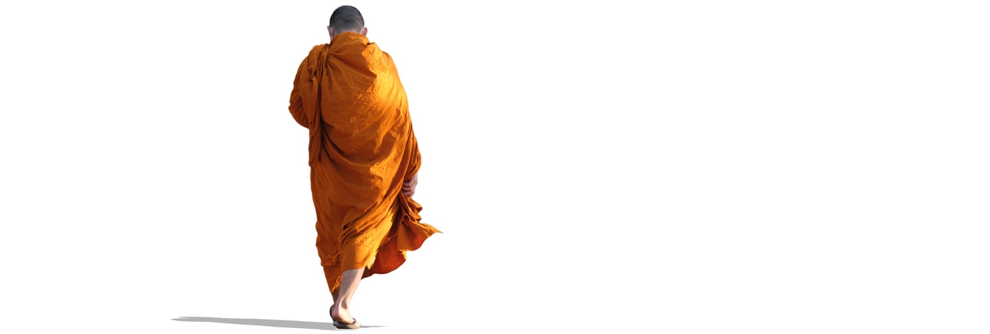 Fighting Change Is Fighting Life